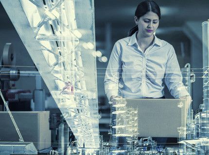 Supplier Management